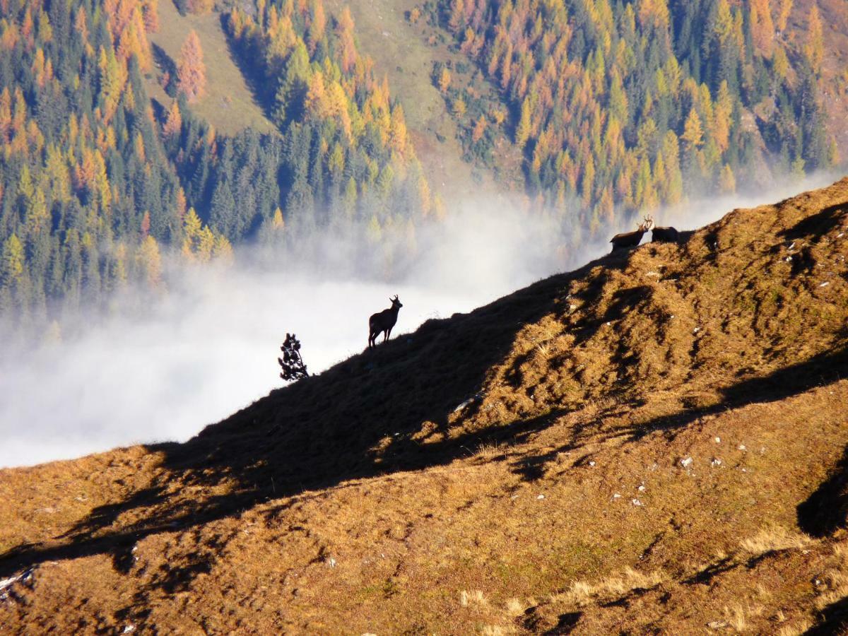 Apart Alpenflair Nauders Bagian luar foto